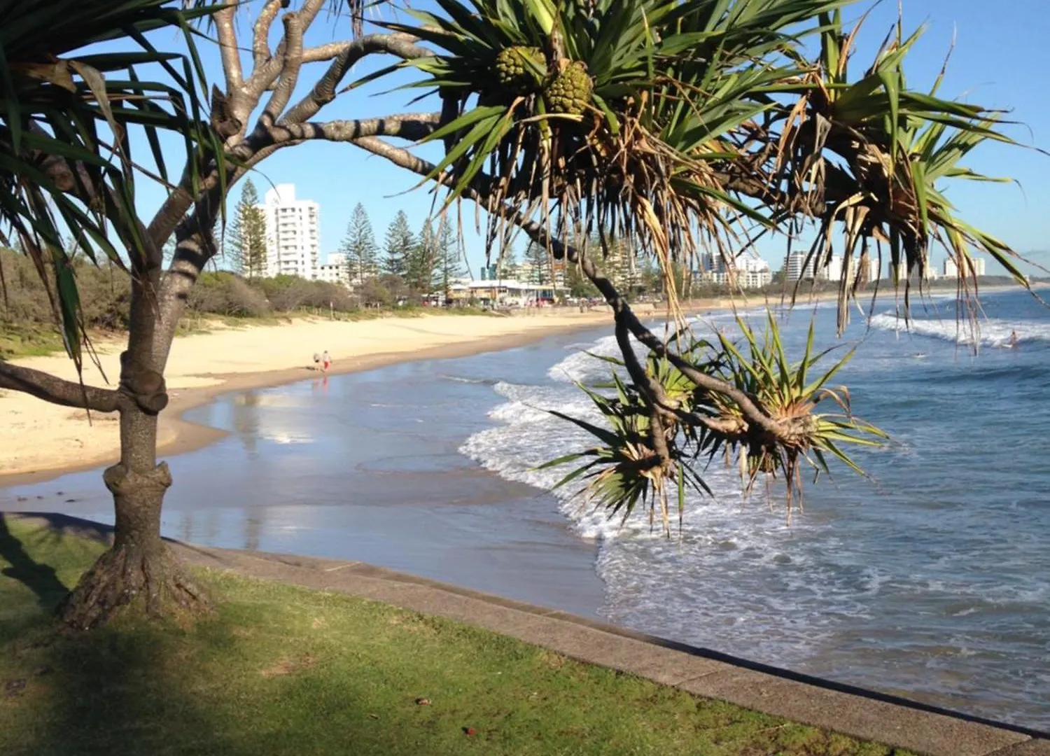 Grand Palais Beachside Resort Alexandra Headland